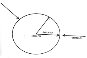 bioenergetica - equilibrio