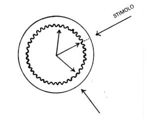 bioenergetica
